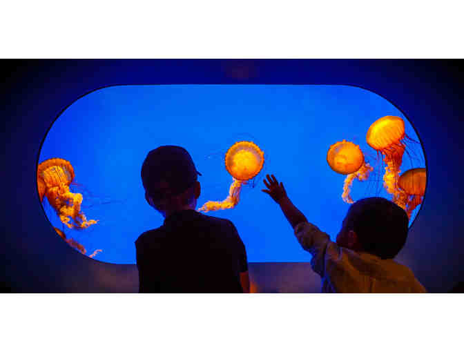 4 tickets to the California Academy of Sciences!