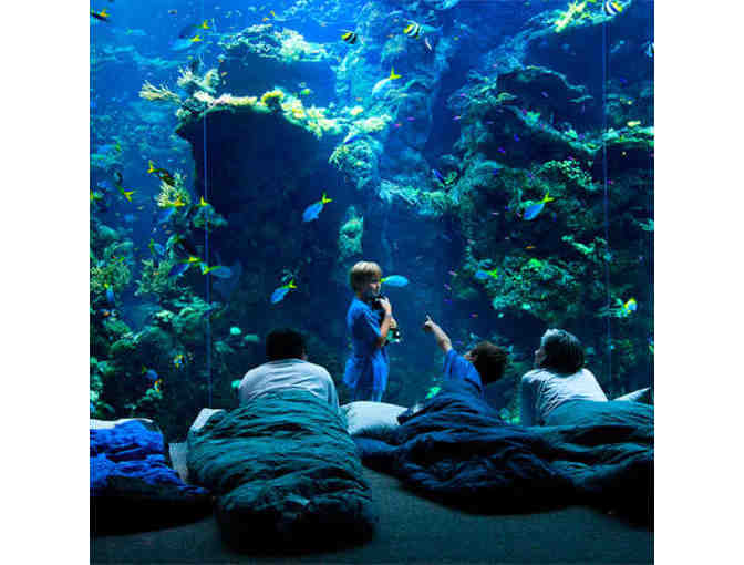 4 tickets to the California Academy of Sciences!