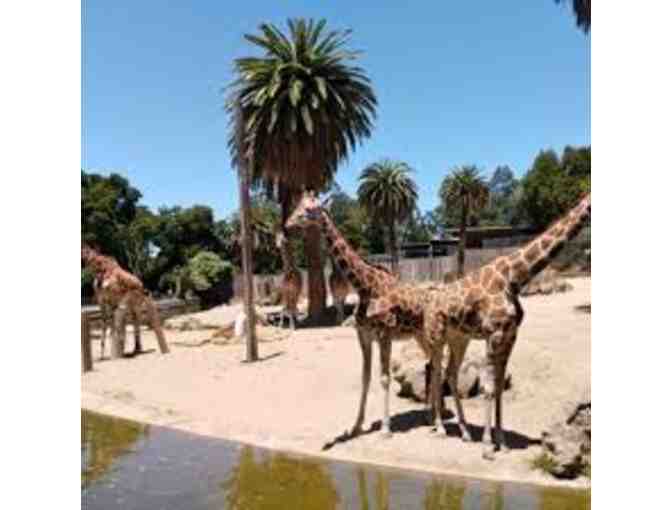Group pass to Oakland Zoo & 8 ride tickets