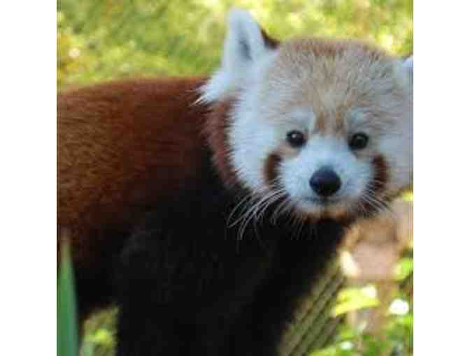 4 Passes to Happy Hollow Park and Zoo