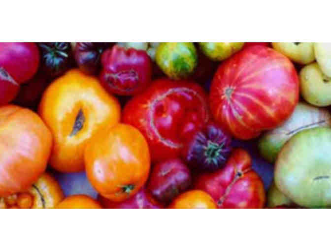 Free Two-Week Trial Subscription with the Terra Firma Farm CSA