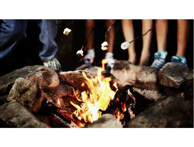 Backyard Campfire - Photo 1