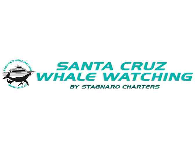 1 Adult Whale Watching ticket with Santa Cruz Whale Watching - Photo 1