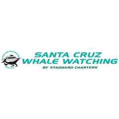 Santa Cruz Whale Watching