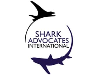 Lunch or Dinner with shark advocate Sonja Fordham in Washington, DC