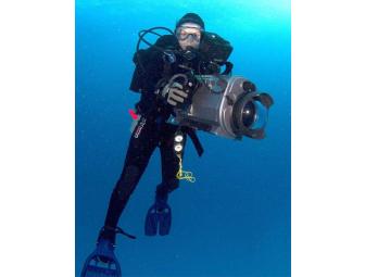 Lunch or Dinner Debra Canabal,  Shark Conservationist,  in Belleville, New Jersey