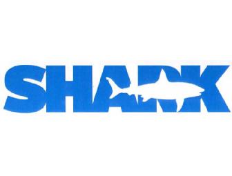 Lunch or Dinner with Richard Ellis  - Artist / Author  -  in  New York City