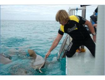 Lunch or Dinner with Shark Week Filmmaker Jeff Kurr in Santa Barabara, California