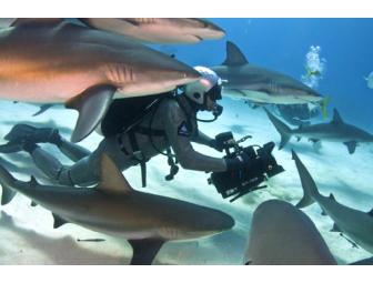 Lunch or Dinner with Joe Romeiro, filmmaker, in Coventry, Rhode Island