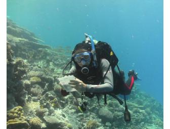 Lunch or Dinner with Gregor Hodgson, Ph.D. in Los Angeles, California