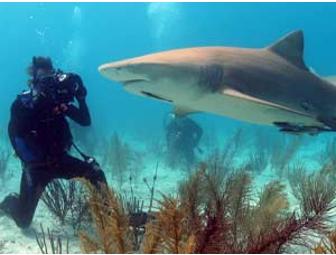 Lunch or Dinner with Jupp Baron Kerckerinck zur Borg in Millbrook, NY or Germany