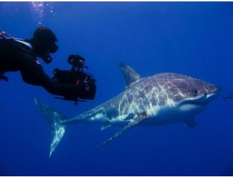 Lunch or Dinner with Joe Romeiro, filmmaker, in Coventry, Rhode Island