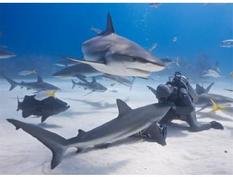 Lunch or Dinner with Cristina Zonato in Freeport, Grand Bahama Island, Bahamas