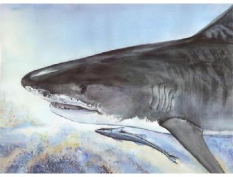 Lunch or Dinner with Ila France Porcher - artist & author - in Vancouver, BC, Canada