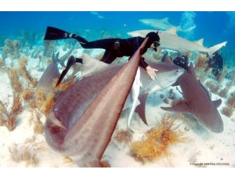 Lunch or Dinner with Paul Spielvogel in The Woodlands, TX