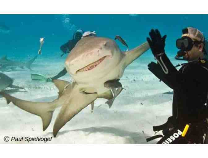 Lunch or Dinner with Paul Spielvogel in The Woodlands, TX