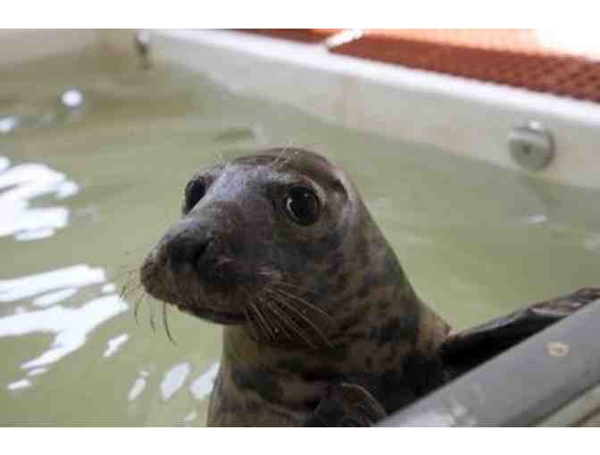 Lunch or Dinner with Robert Schoelkopf in Brigantine, New Jerssey