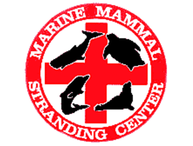 Lunch or Dinner with Robert Schoelkopf in Brigantine, New Jerssey