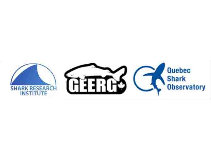 Lunch or Dinner with Greenland Shark researcher Jeffrey Gallant in Drummondville, Canada