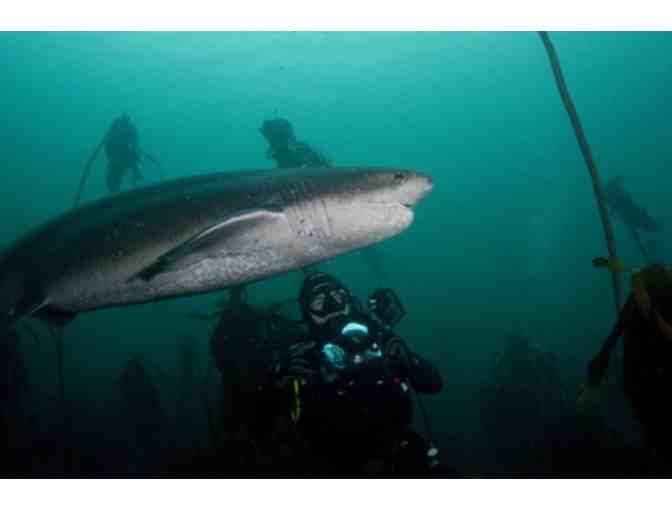 Lunch or Dinner with Michael Kazma, founder of Shark Chums, in San Diego, CA