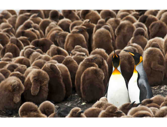 Lunch or Dinner with Sandra Critelli, Nature Photographer, in New York City