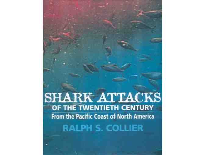 Meet Ralph Collier - The USA's Shark Attack Expert and Author