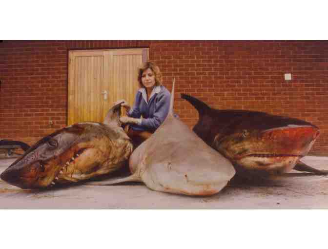 Meet Marie Levine - International Shark and Marine Conservationist - in Princeton, NJ