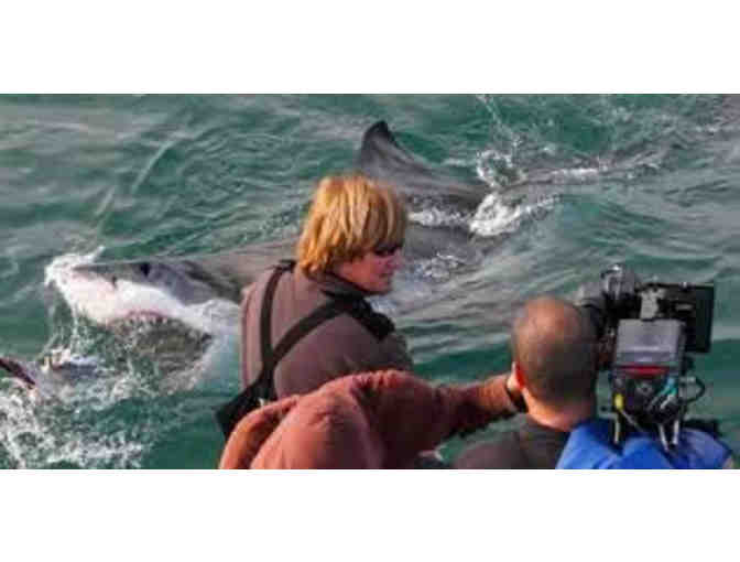 Meet Shark Week's legendary filmmaker Jeff Kurr in Thousand Oaks, California