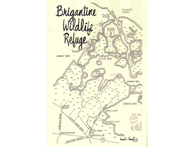 New Jersey Coastwalks, by Dery Bennett with maps and illustrations by Marie Levine