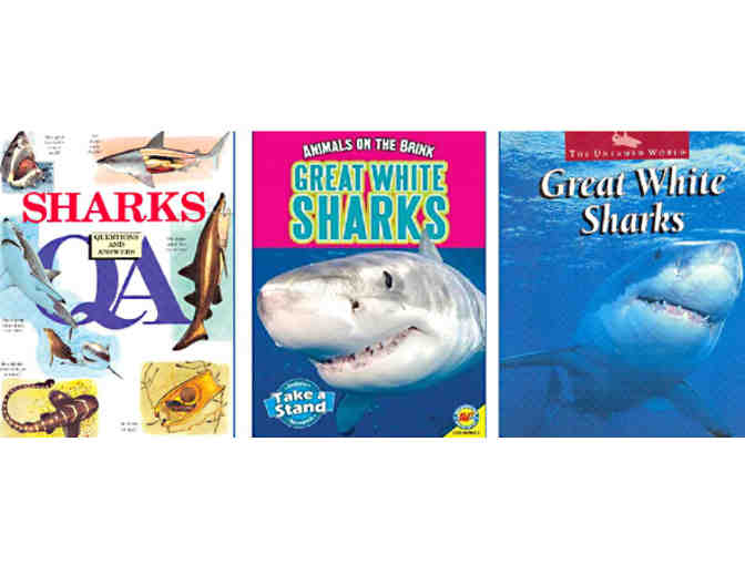 Meet Marie Levine, Author and International Shark & Marine Life Conservationist, for lunch