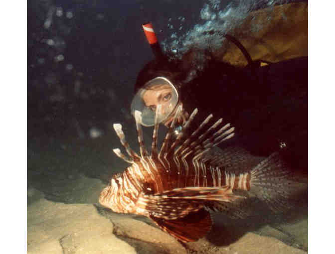 Meet Marie Levine, Author and International Shark & Marine Life Conservationist, for lunch