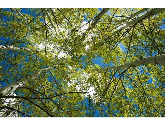 Self Guided Getaway Weekend - Shambhala Mountain Center, Colorado