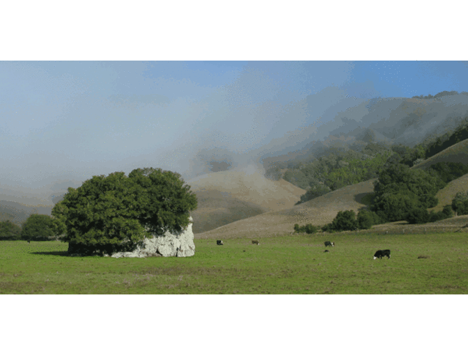 One Day Program - Spirit Rock Insight Meditation Center, California