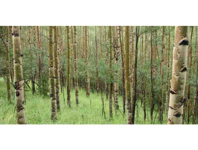 4 Day Solitary Retreat - Dorje Khyong Dzong, Colorado