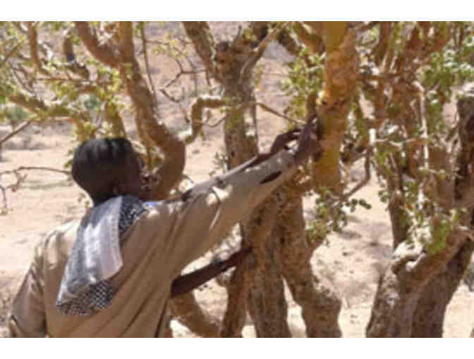Certified Organic Frankincense and Myrrh Resin Incense