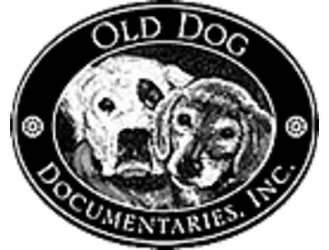 Jesus and Buddha Film (DVD) - Old Dog Documentaries