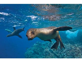 Galapagos Voyage with Lindblad Expeditions