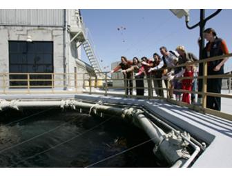 Monterey Bay Experience