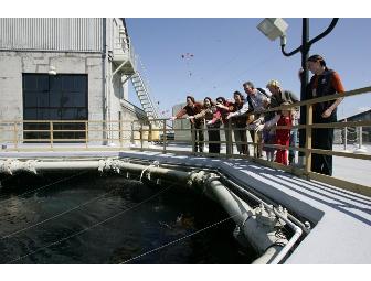 Underwater Explorers Plus