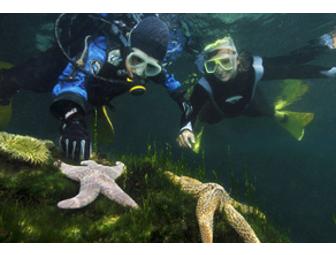 Underwater Explorers Plus