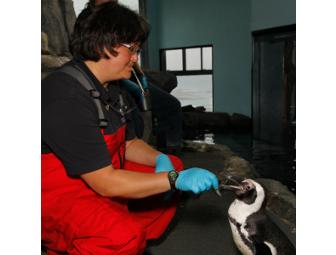 Become an Aquarist for a Day