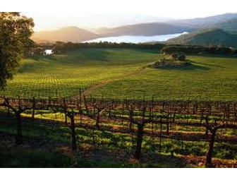 Chappellet Winery Tour & Tasting