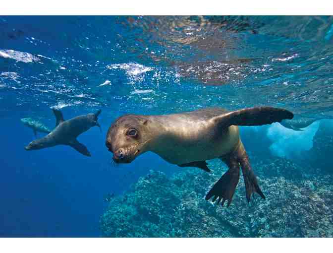 Galapagos Aboard National Geographic Endeavour