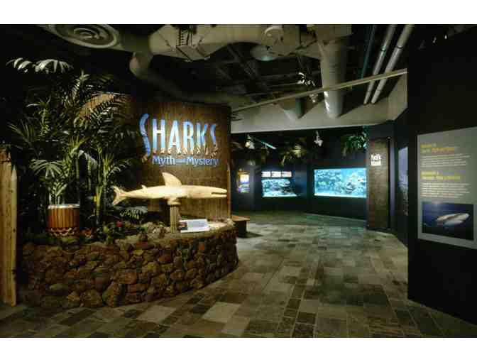 Monterey Bay Aquarium Sharks Myth & Mystery Exhibit Mask