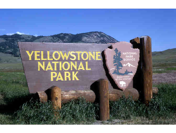 Experience Yellowstone National Park