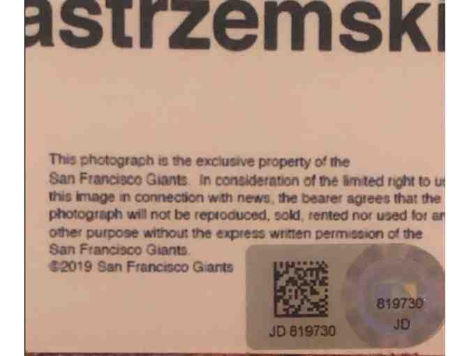 Authentic San Francisco Giants Autographed Photo by Mike Yastrzemski