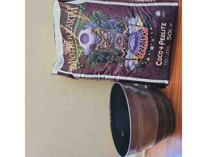 Morgan Hill Gardening Basket