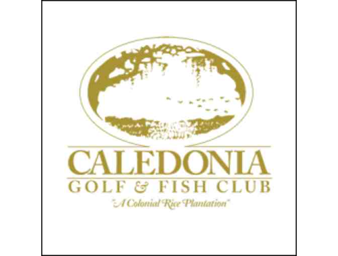 4 Rounds of Golf Caledonia Golf and Fish Club - Photo 1