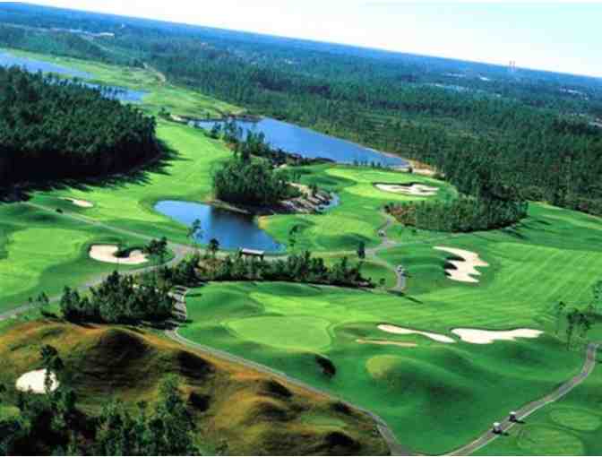 1 Foursome to Wild Wing Golf Plantation and Cart