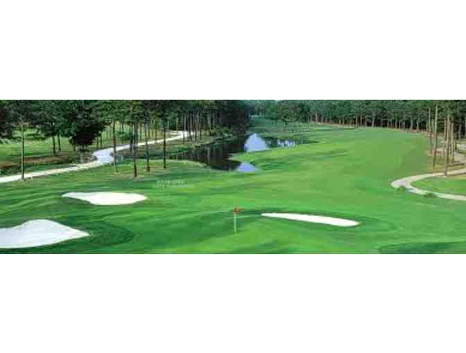 4 Rounds of Golf w/ Cart to River Oaks Golf Plantation